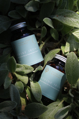Two bottles of Bovine Iron+ supplements made from regenerative grass-fed Australian beef, lying in a bed of soft leaves with low lighting.